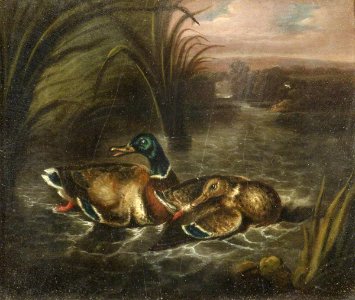 British School - Two Mallards - 515517.5 - National Trust