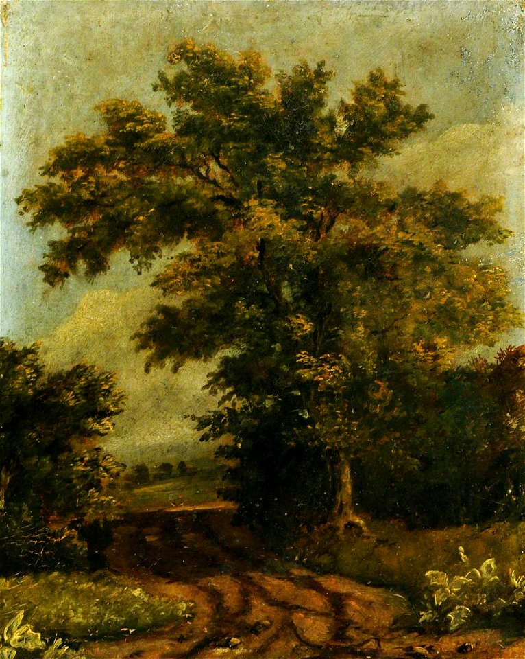 British School - Wooded Landscape - 290307 - National Trust