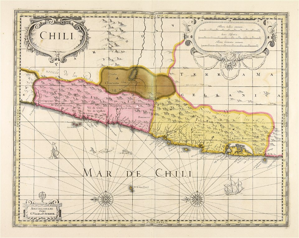 Chili - CBT 6621200
