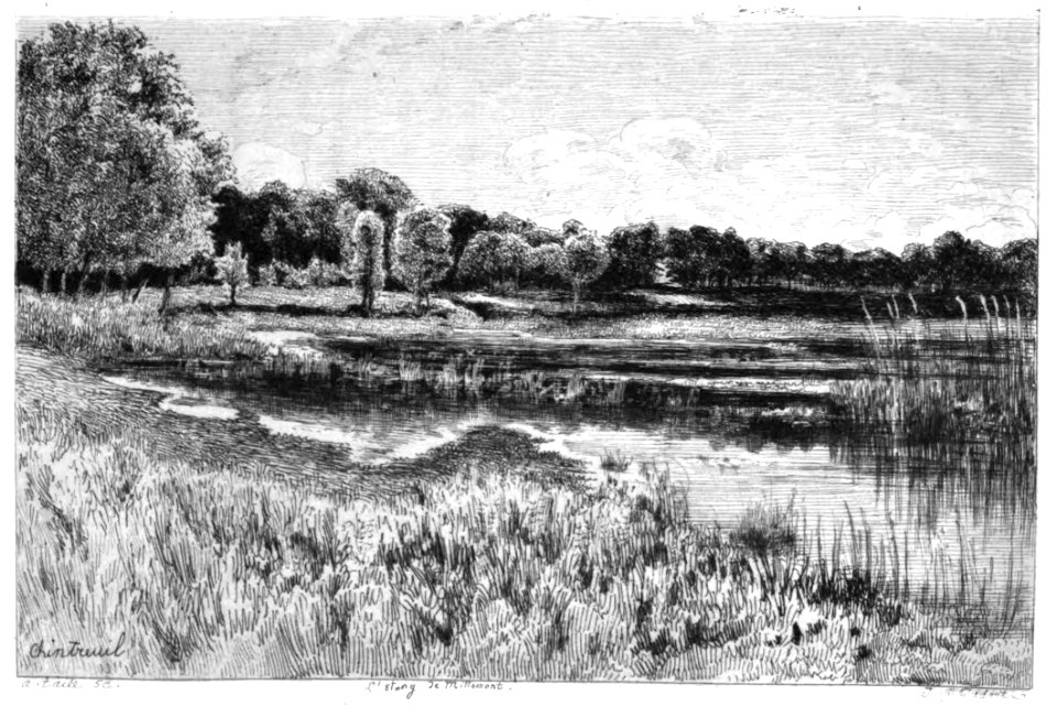 Chintreuil--L'Étang de Millemont--engraved by Alfred Taïée