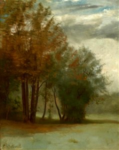 Chintreuil--Effet du matin au parc Monceau