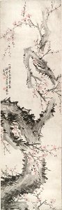 Cho Hŭi-ryong - Blossoming Plum Tree - 2003.86.2 - Arthur M. Sackler Museum