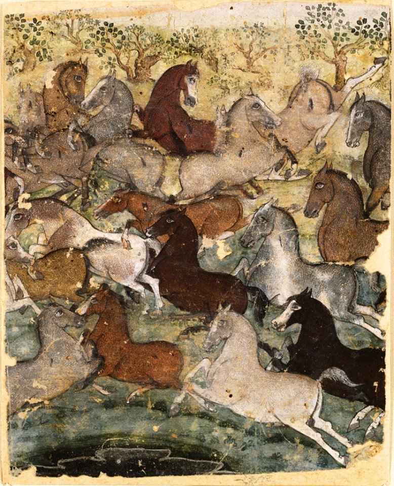 Chokha - Wild Horses - 1995.88 - Arthur M. Sackler Museum