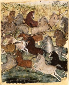 Chokha - Wild Horses - 1995.88 - Arthur M. Sackler Museum