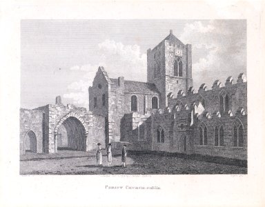 Christchurch Cathedral, Dublin, and Chapter House from the South-East P6480