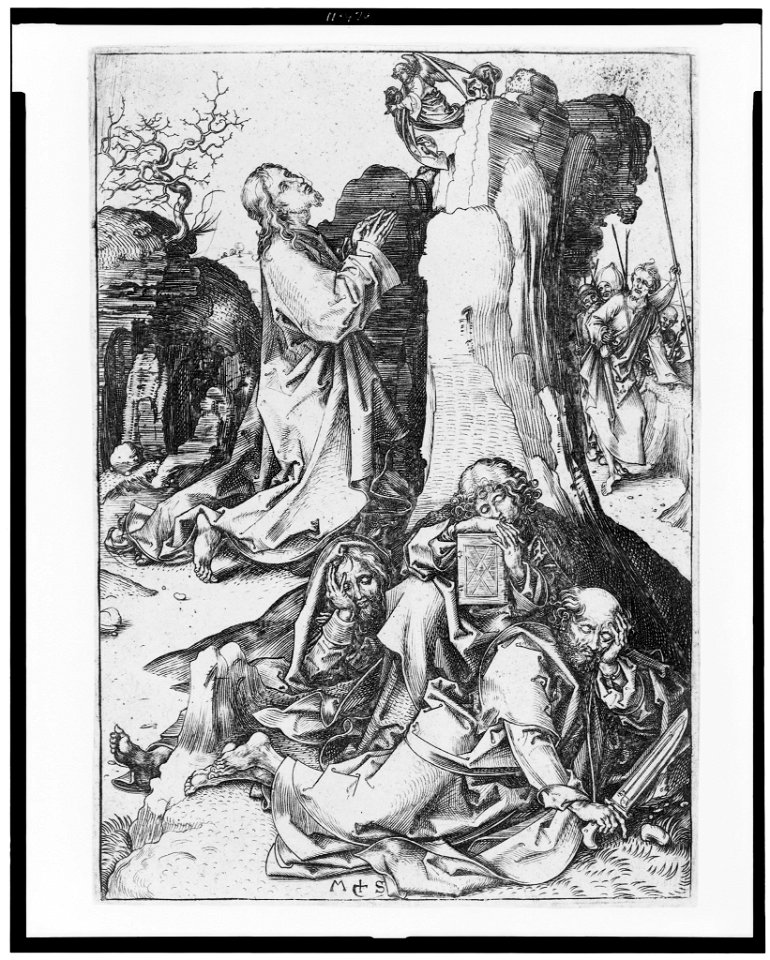 Christ praying on the Mount of Olives) - M.S LCCN94506272