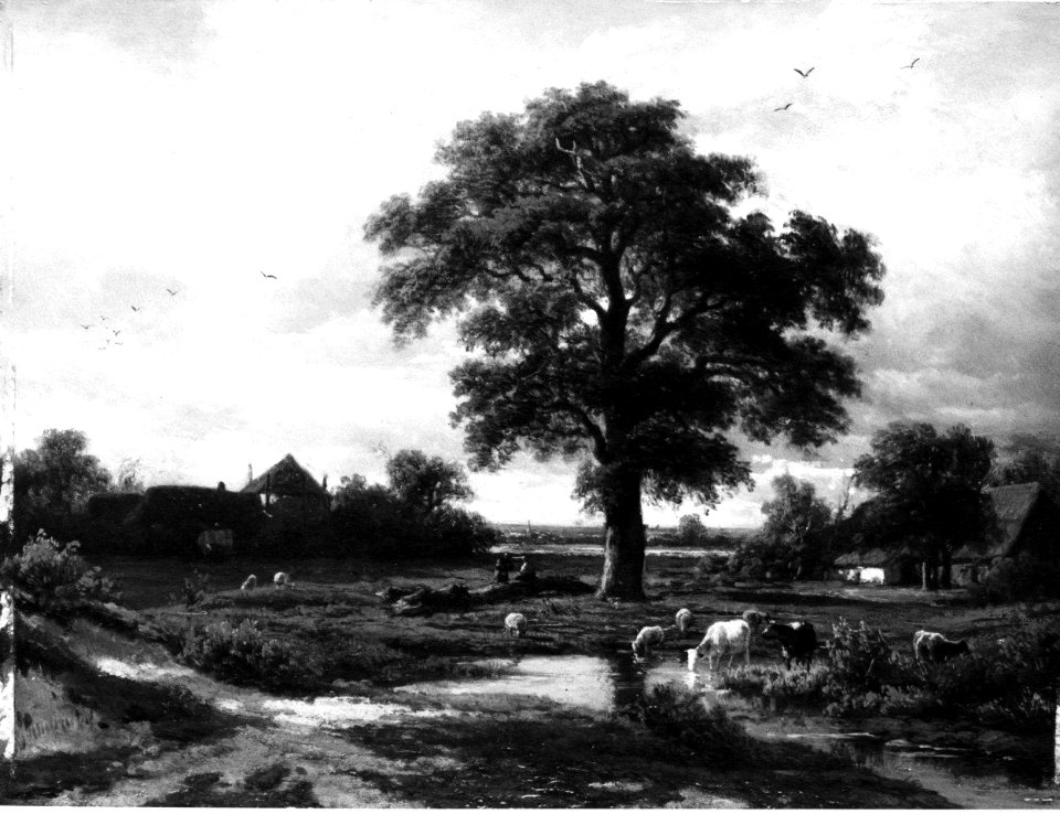 Christiaan Immerzeel - Een landschap, op de voorgrond rundvee bij een plas water - SA 1208 - Amsterdam Museum