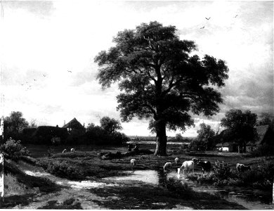 Christiaan Immerzeel - Een landschap, op de voorgrond rundvee bij een plas water - SA 1208 - Amsterdam Museum