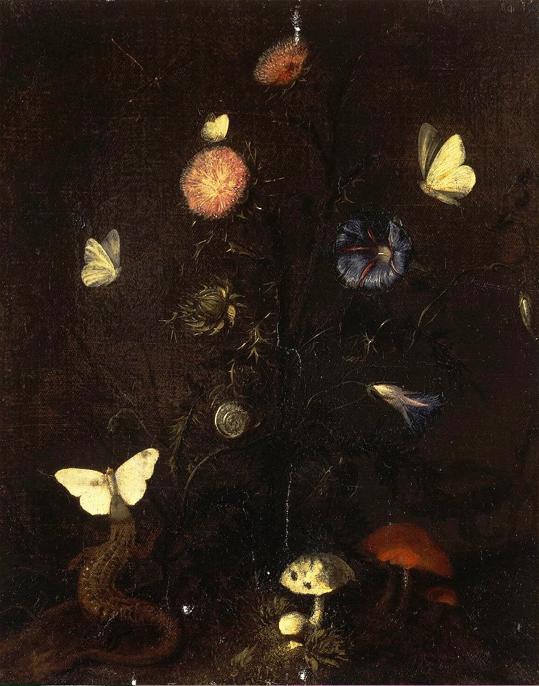 Christiaen Striep - Bloemen, Hagedis en Vlinders