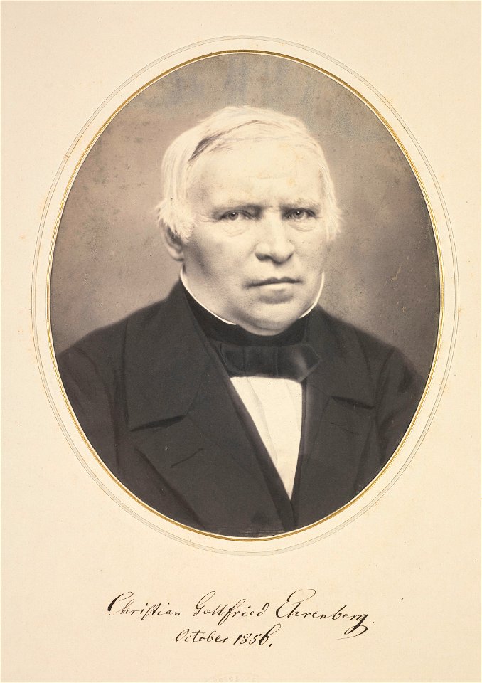 Christian Gottfried Ehrenberg portret