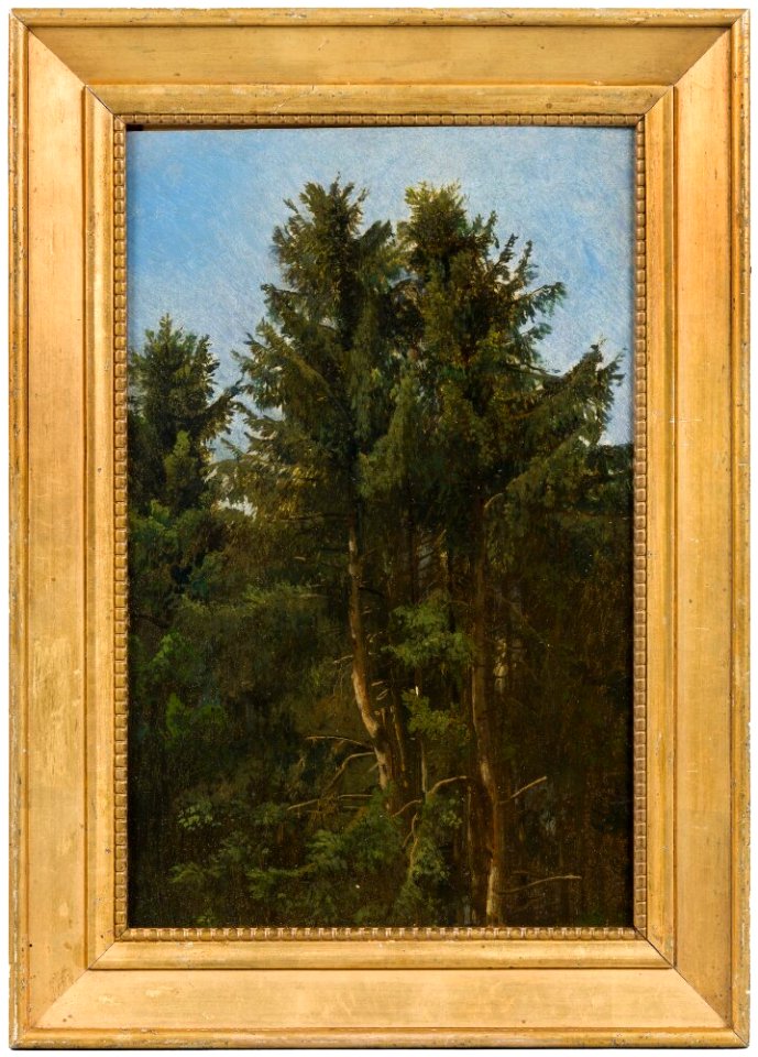 Christian Fredrik Gille - Trees. Study - NM 7419 - Nationalmuseum