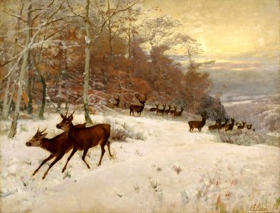 Christian Kröner Hirschrudel im Winter