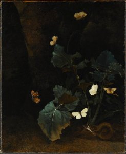 Christian Jansz Striep - Herb Plant, Six Bright Butterflies and a Brown Serpent - NM 649 - Nationalmuseum
