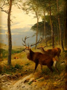 Christian Kröner Zwölfender 1888