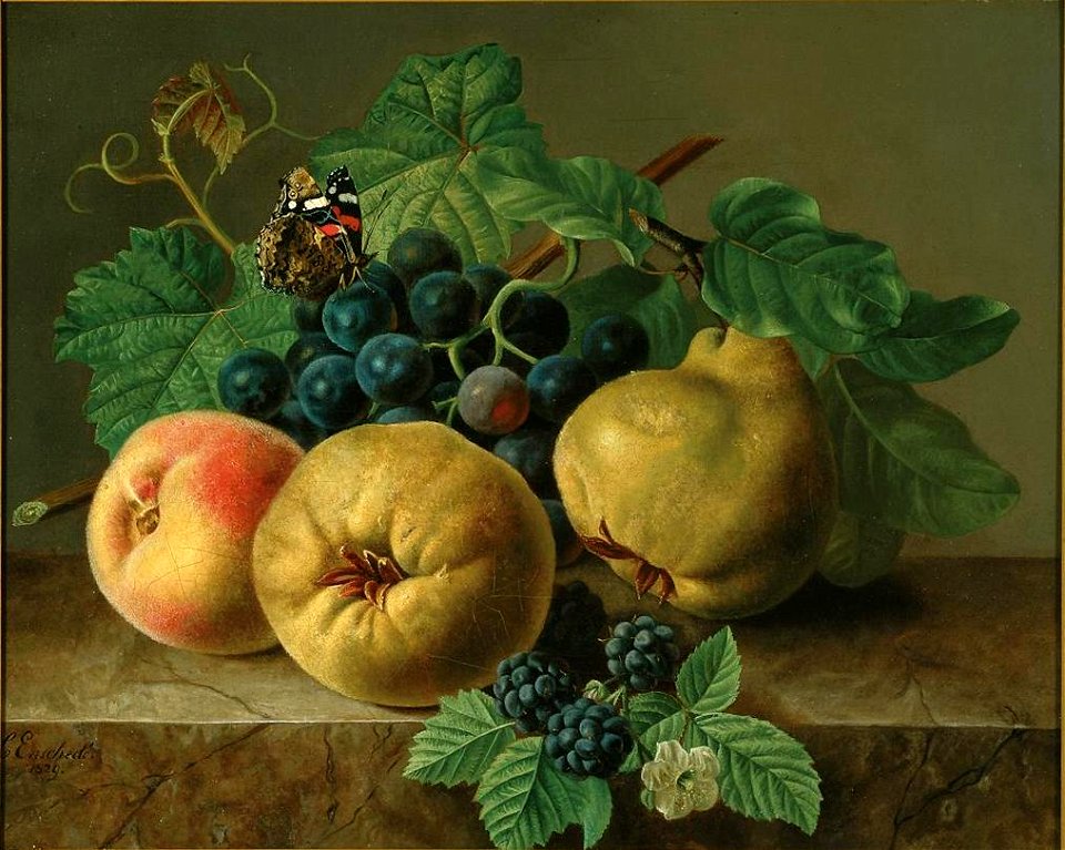 Christiana Gerarda Enschedé - 1829