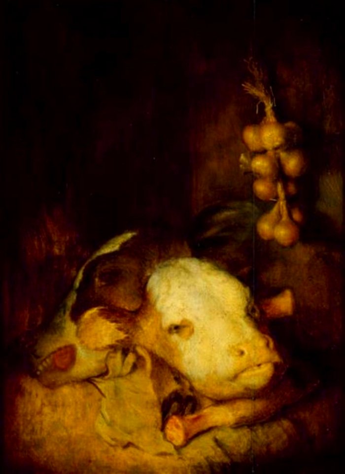 Christopher Paudiss - Stilleven met twee kalfskoppen - Inv.-Nr. 99-66 - Staatliche Kunstsammlungen Dresden