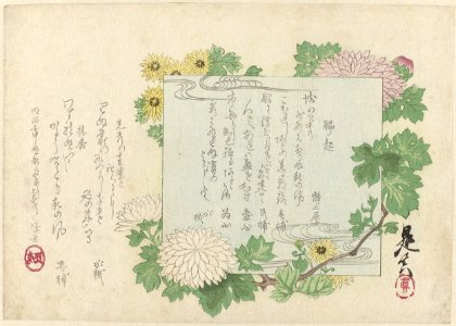 Chrysanten-Rijksmuseum RP-P-1991-597