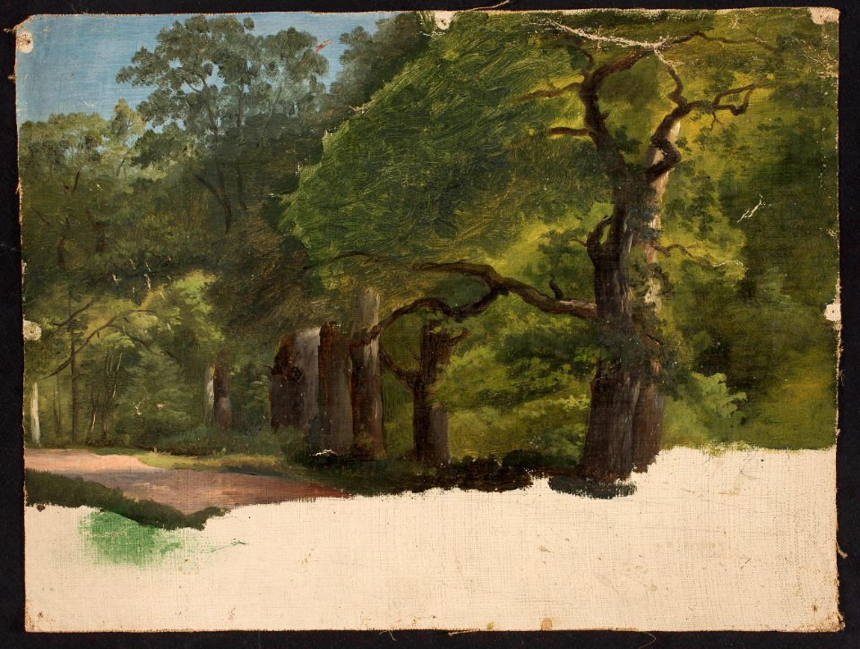 Chrystian Breslauer - Forest landscape, sketch - MP 3207 MNW - National Museum in Warsaw
