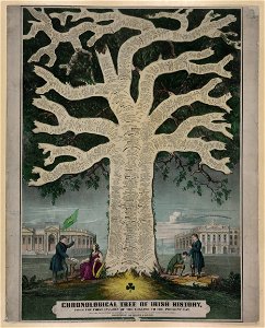 Chronological tree of Irish history from the first invasion of the English to the present day - lith. of F. Heppenheimer & Co., 22 & 24 North William St., New York. LCCN2005677217