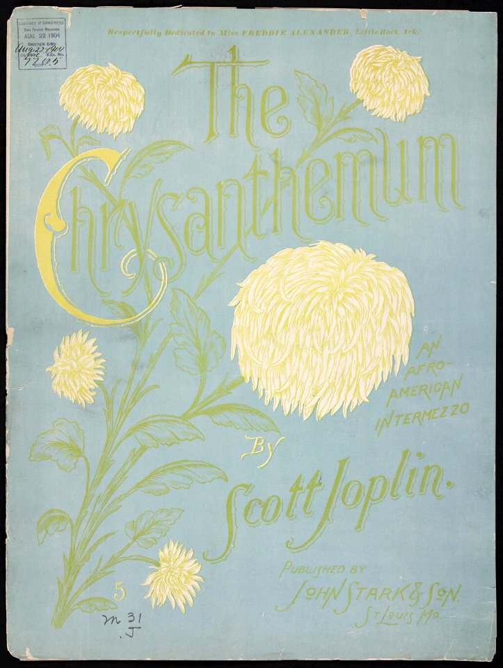 Chrysanthemum 1