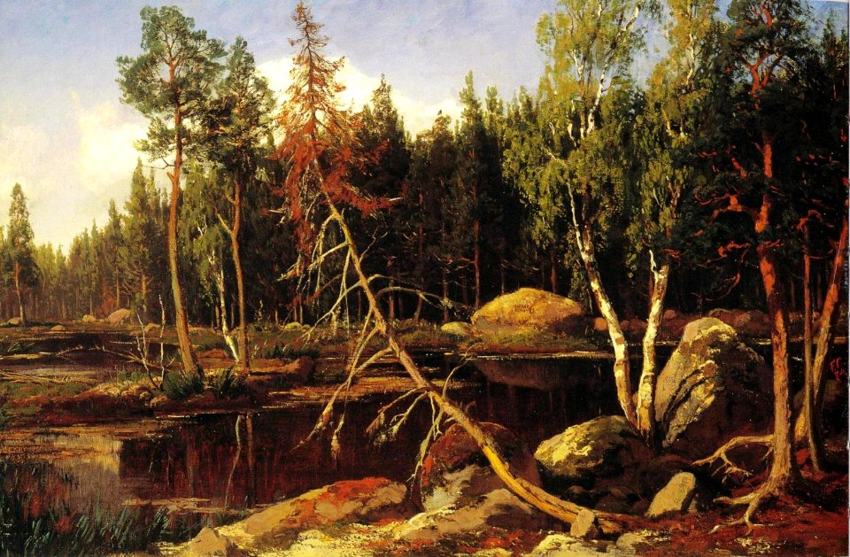 Churberg, Metsänsisusta