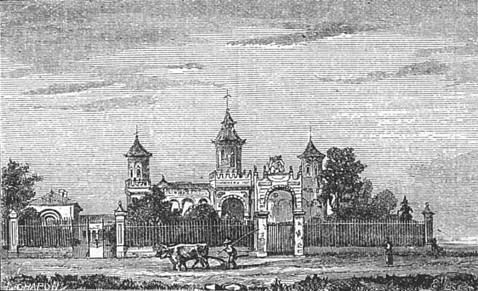 Château Cos d'Estournel - Cocks&Féret 1893