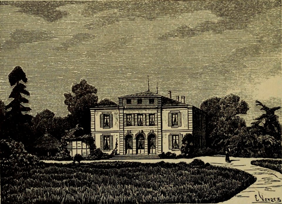 Château Belgrave - Cocks&Féret 1883