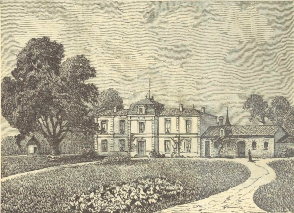 Château Dauzac - Cocks&Féret 1898