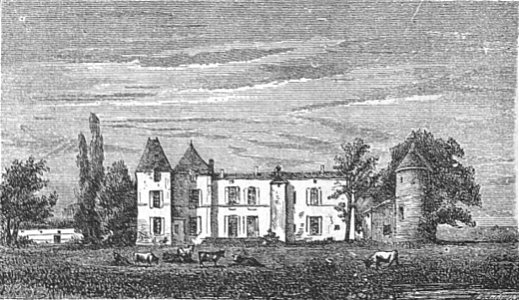 Château d'Yquem - Cocks&Féret 1893