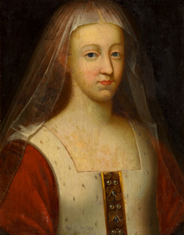 Château de Bussy-Rabutin - Agnès Sorel (bgw19 0358)