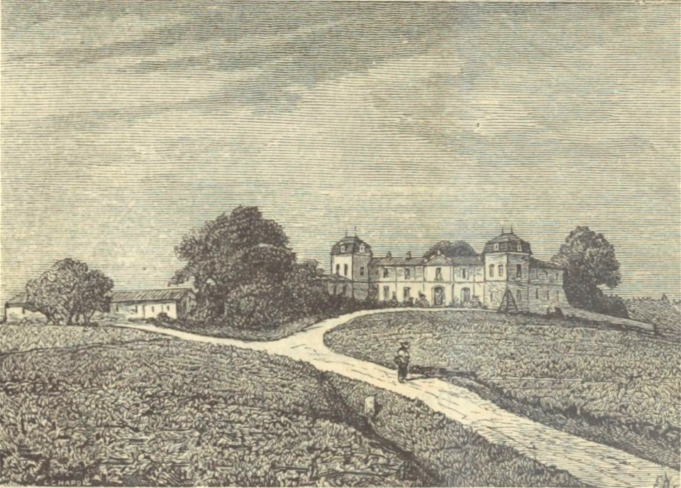 Château Calon-Ségur - Cocks&Féret 1898