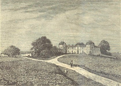 Château Calon-Ségur - Cocks&Féret 1898