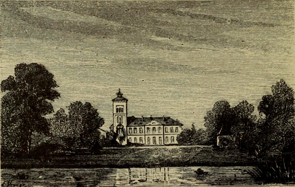 Château Lagrange - Cocks&Féret 1883