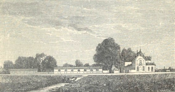 Château Marquis de Terme - Cocks&Féret 1898