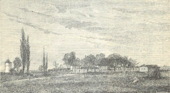 Château La Tour Blanche - Cocks-Féret 1898