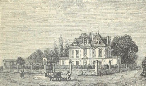 Château Malescot Saint-Exupéry - Cocks&Féret 1898