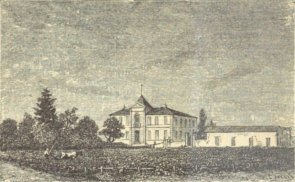 Château du Tertre - Cocks&Féret 1898