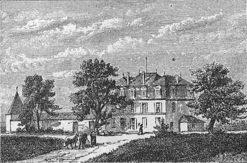 Château Guiraud - Cocks&Féret 1893