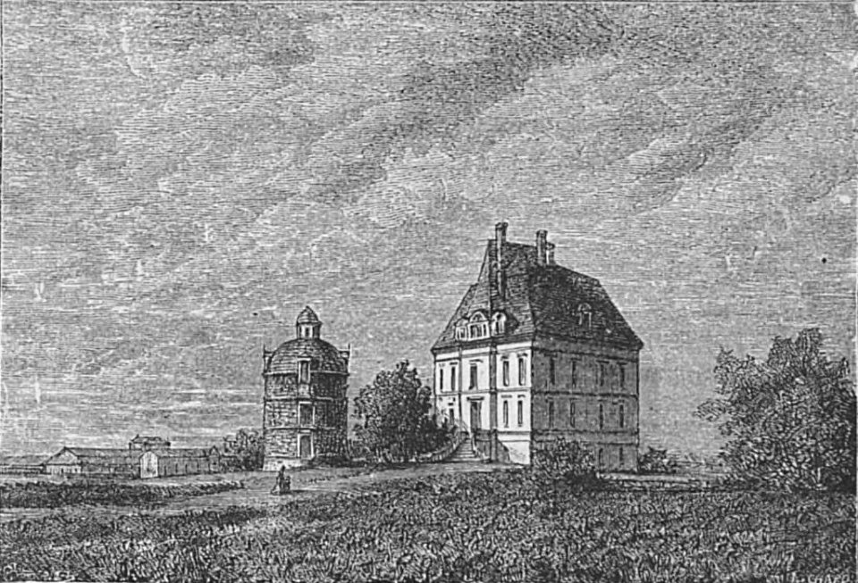 Château Latour - Cocks&Féret 1893