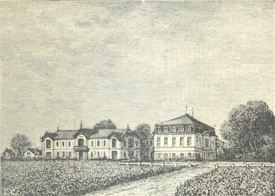 Château Pontet-Canet - Cocks&Féret 1898