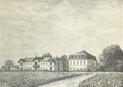 Château Pontet-Canet - Cocks&Féret 1898