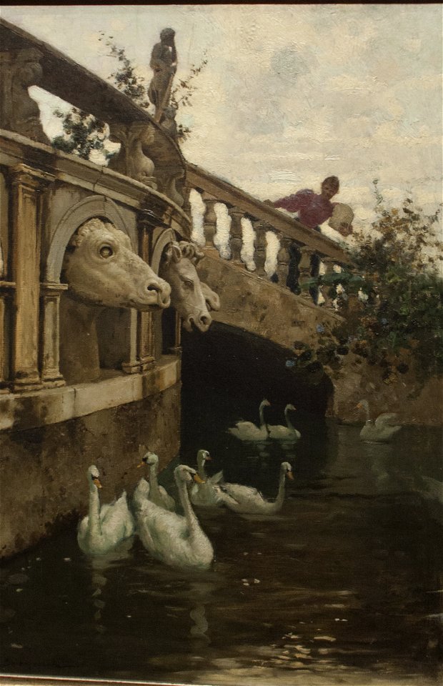 Cigni nella fontana di piazza Pretoria - Ettore De Maria Bergler
