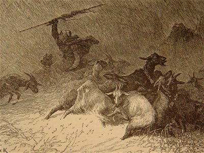 Chèvres en détresse