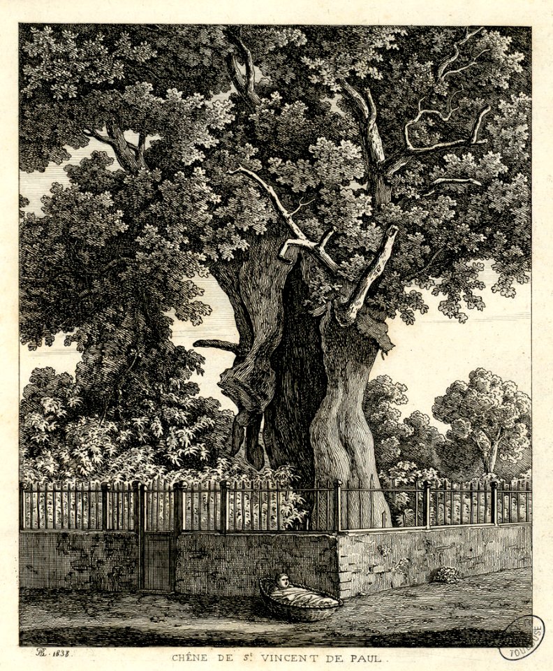 Chêne de St.Vincent de Paul - Fonds Ancely - B315556101 A PELERIN 118