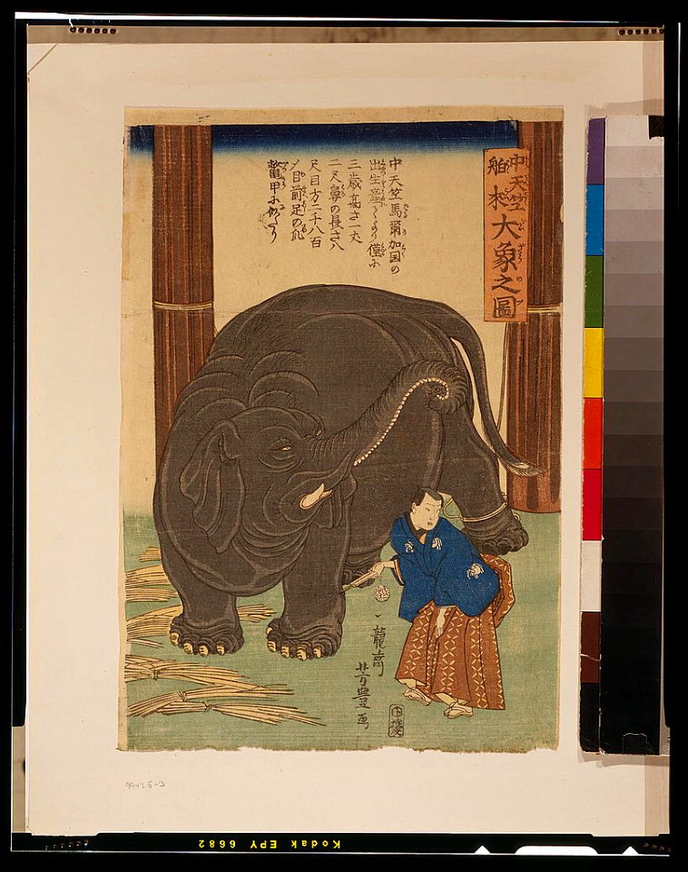 Chūtenjiku hakurai ōzō no zu LCCN2002700345