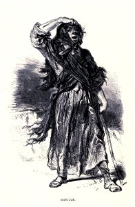 Ciboule Gavarni