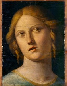 Cima da Conegliano, Santa