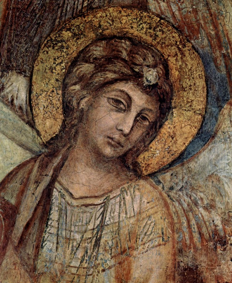 Cimabue 020