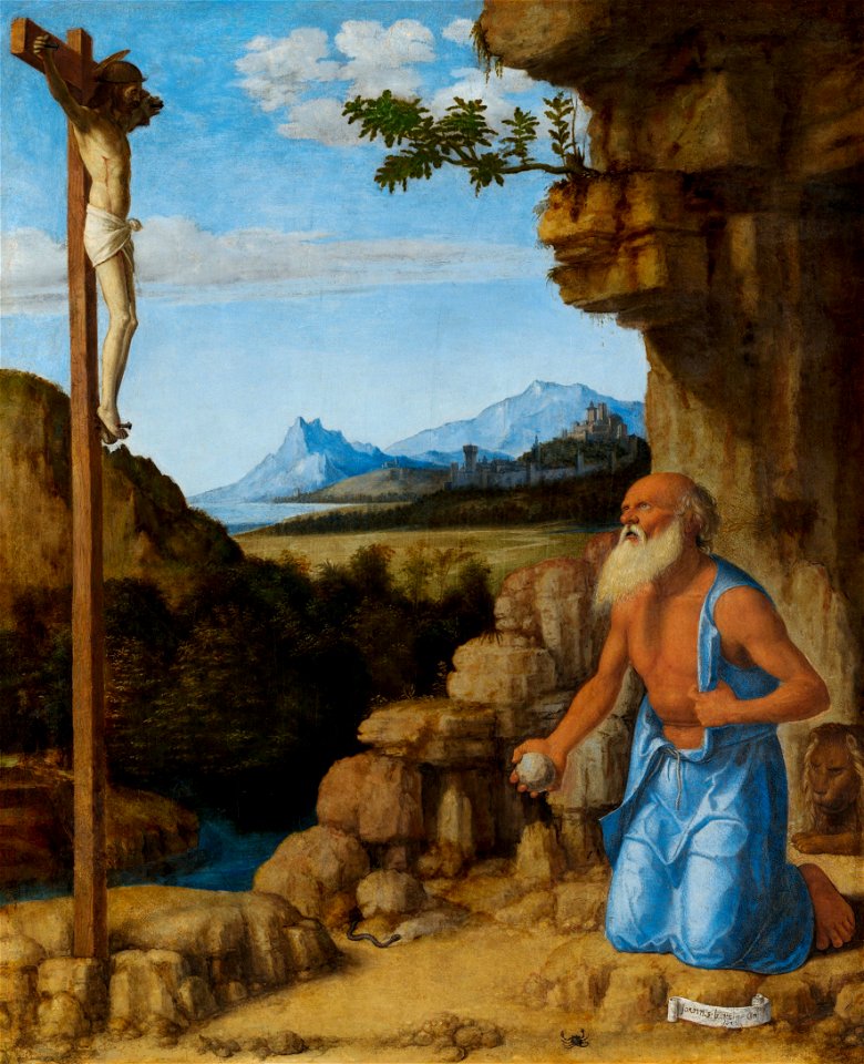 Cima da conegliano, san girolamo