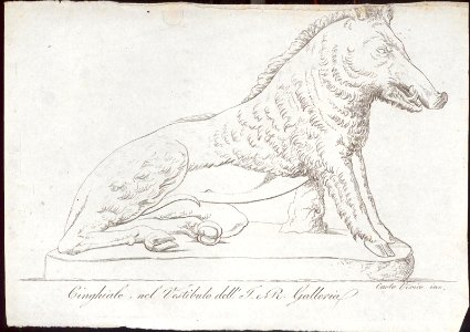 Cinghiale, net Vestibulo dell' T. e R. Galleria, objectnr A 59368